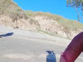 Public erection beach CFNM encounter with curious matur