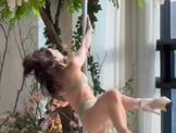 Suen Lee Artful Pole Dance - Slowed