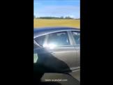A blowjob caught on the middle of the highway